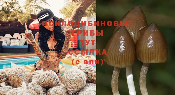 мдма Богородск