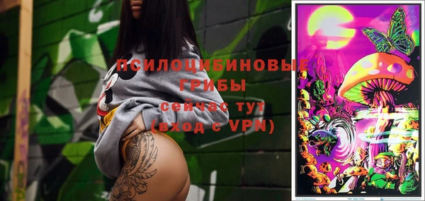 ПСИЛОЦИБИНОВЫЕ ГРИБЫ Белоозёрский