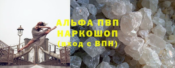 крисы Белокуриха